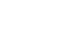 PCIe 5.0 für Grafikkarteâ